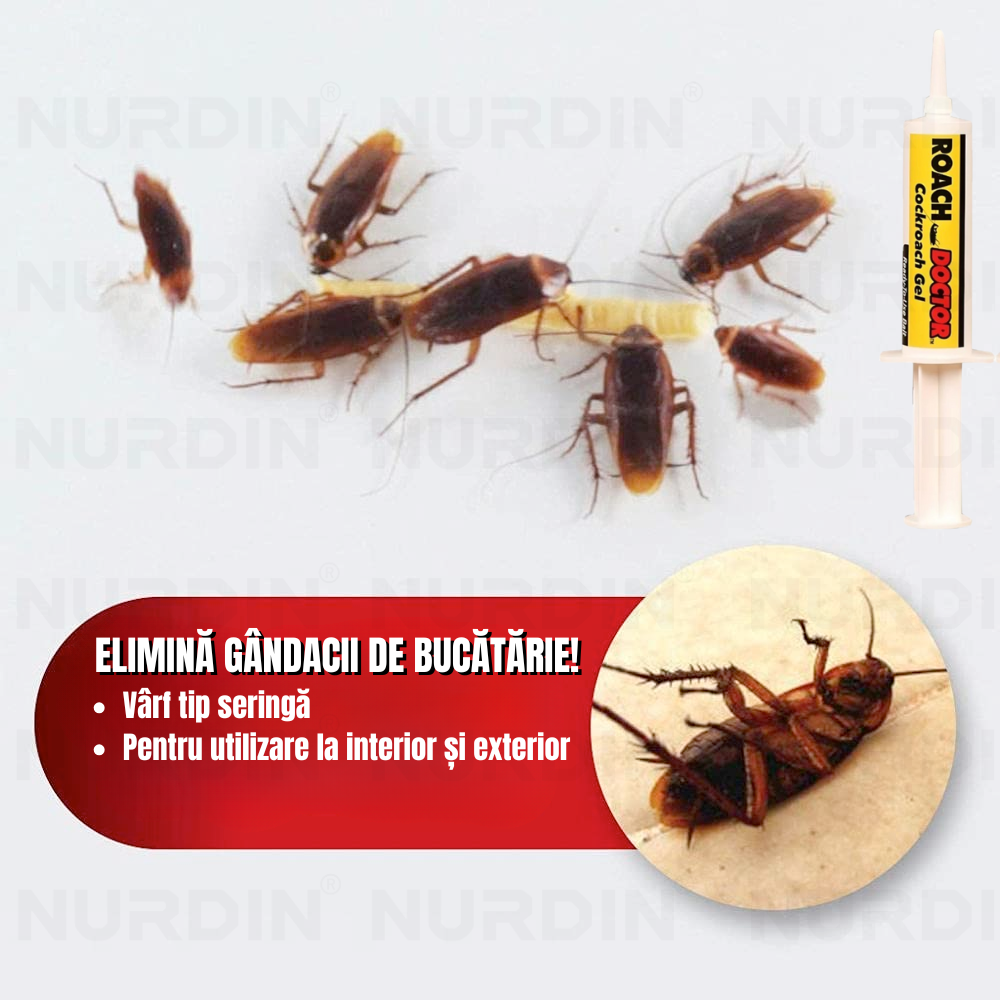 Gel anti-gândaci de bucătărie, vârf tip seringă pentru interior și exterior, elimină eficient insectele